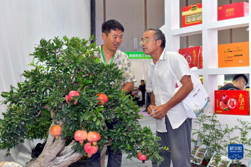 线上电子游戏城